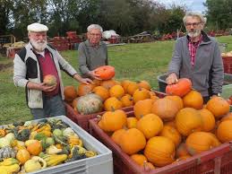 Fête de la Citrouille de Nantes